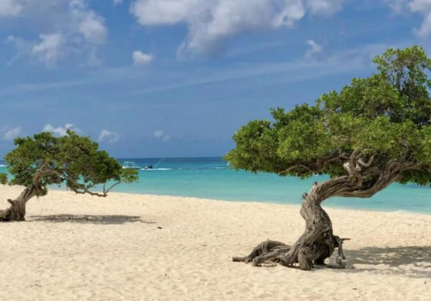 Genesis Apartments Palm Beach Aruba